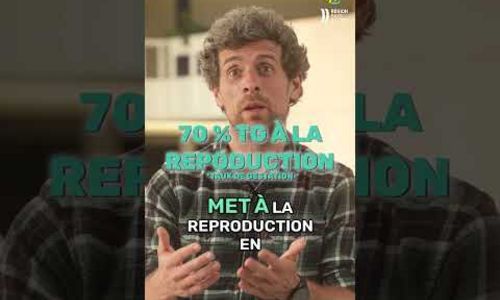 Terre View l GEN AB : un vêlage à 30 mois en bio, ça donne quoi ?