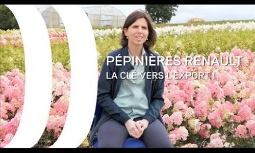 REGION X ENTREPRISE PÉPINIÈRE RENAULT