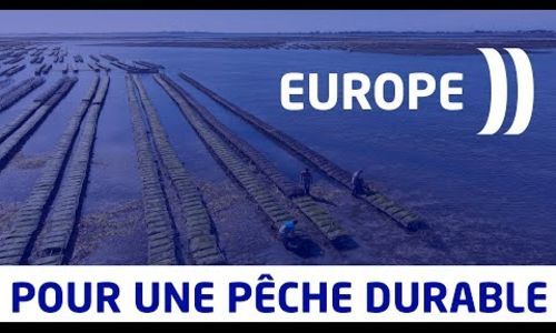 La Région et l’Europe soutiennent l’aquaculture (EARL ISTREG)
